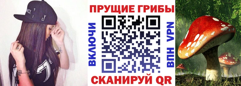Галлюциногенные грибы Psilocybe  Шумерля 